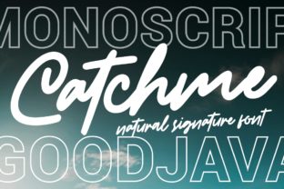 Catchme: A Designer’s Honest Review of This Script Font