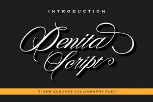 Denita Font: A Web Designer’s Review