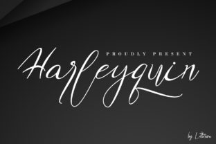 Harleyquin: A Designer’s Honest Review for Branding