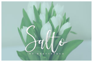 Salto Font Review: Authentic Script for Modern Brands