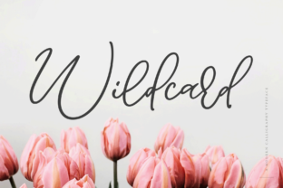 Wildcard Font: A Bouncy Script for Modern Branding
